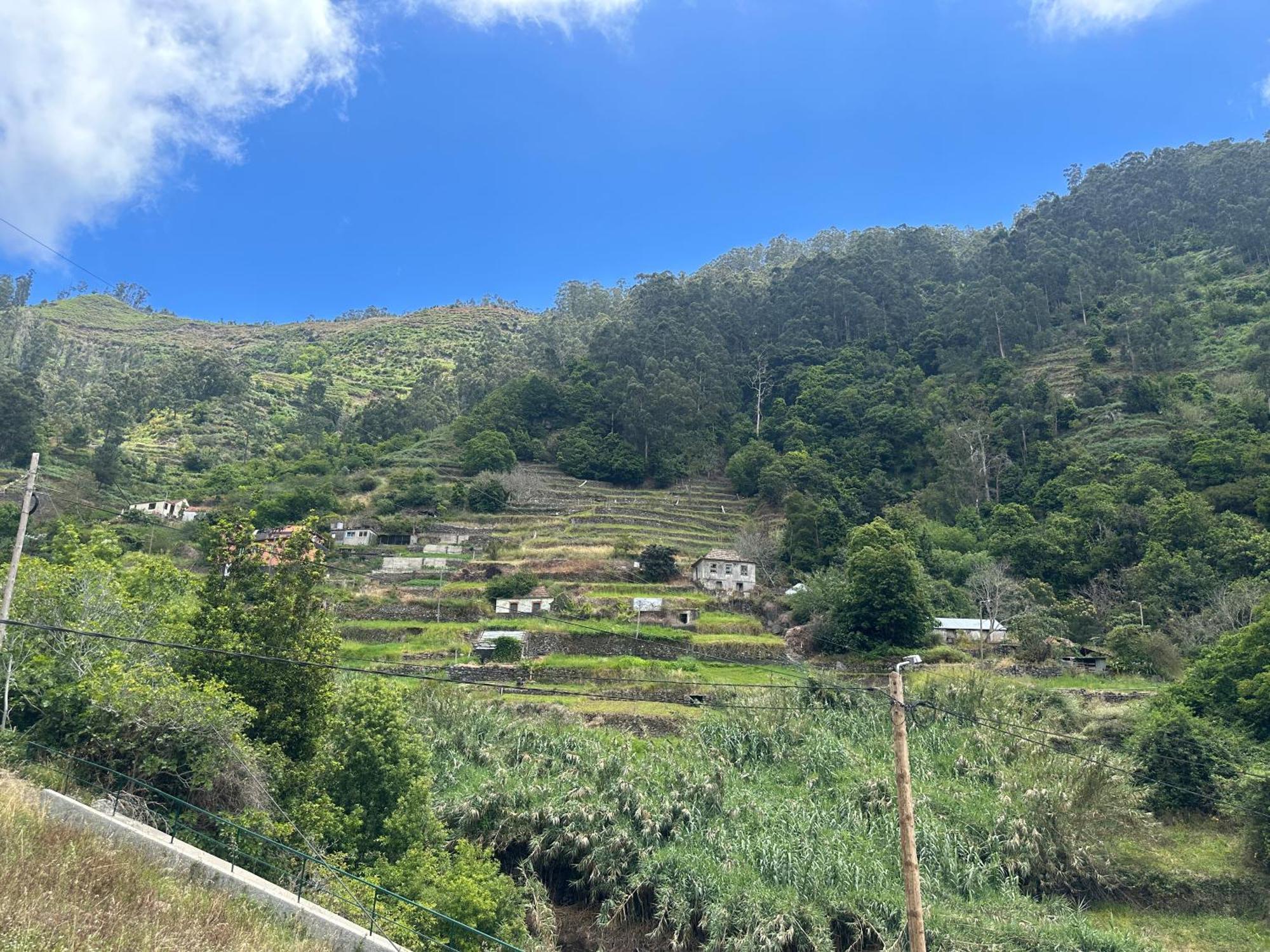 Villa Casa Rosa Ribeira Brava Esterno foto